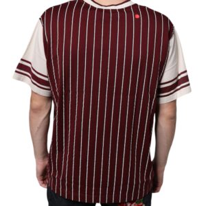 Dolce & Gabbana Maroon Stripes Cotton Logo V-neck T-shirt