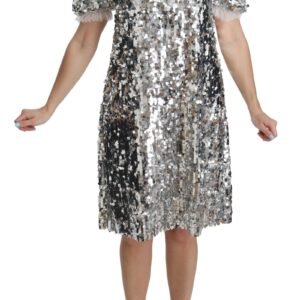 Dolce & Gabbana Elegant Silver A-Line Dress with Crystal Accents