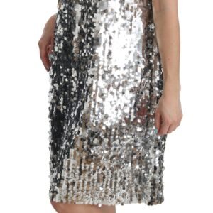 Dolce & Gabbana Elegant Silver A-Line Dress with Crystal Accents