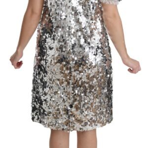 Dolce & Gabbana Elegant Silver A-Line Dress with Crystal Accents