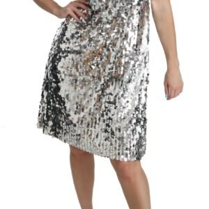 Dolce & Gabbana Elegant Silver A-Line Dress with Crystal Accents