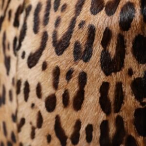Dolce & Gabbana Brown Leopard Fur Women Bucket Hat